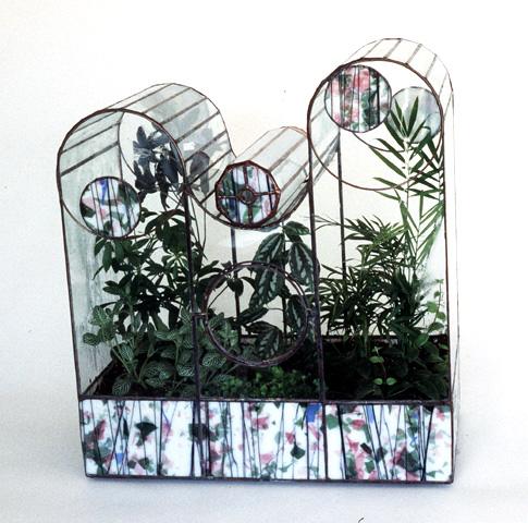 Terrariums by Ron