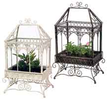 Bargain Terrariums