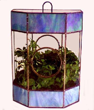 Terrariums by Ron