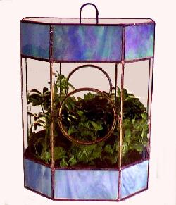 Mirror Back Terrarium