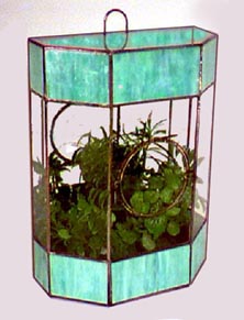 Mirror Back Terrarium