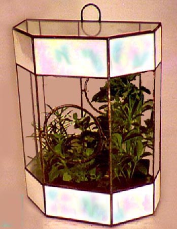 Terrariums by Ron