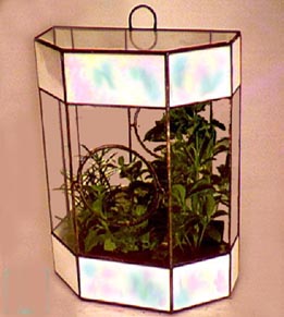 Mirror Back Terrarium