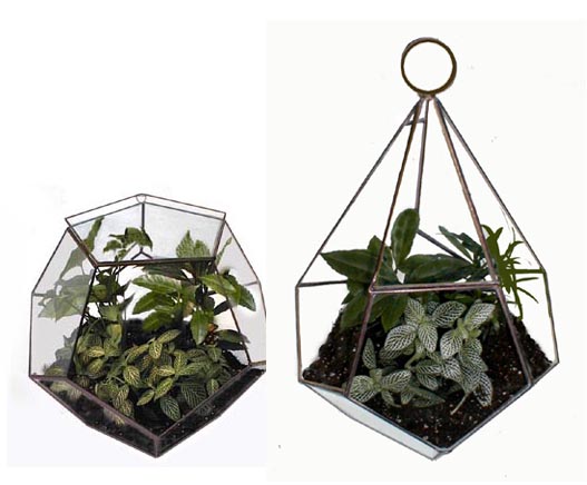 Terrariums by Ron