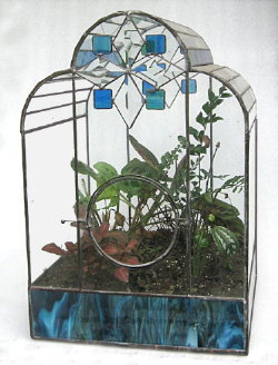 Terrariums by Ron