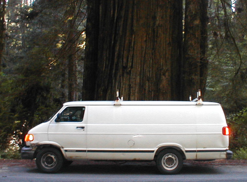 van-tree.jpg - 116.53 K