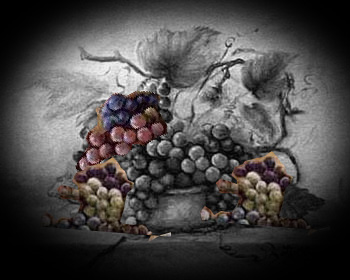 Grapes / Winemaking